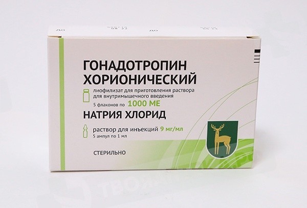 Gonadotropina corionica FGYP Pianta endocrina di Mosca