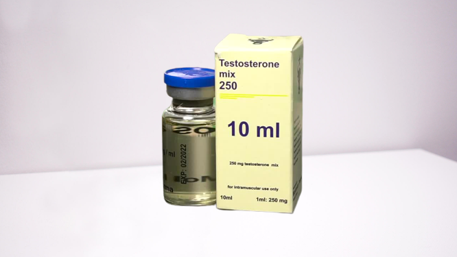 Testosterone mix 250 mg Moldavian Pharma