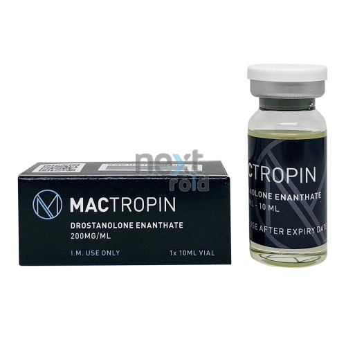 Albero E 200 – Mactropin