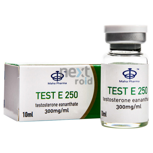 Test E 250 – Maha Pharma