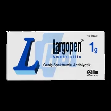 Largopen Bilim