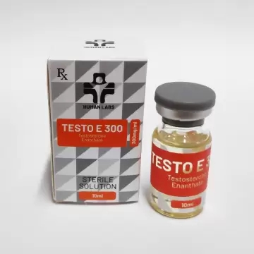 TESTO E HUMAN LABS