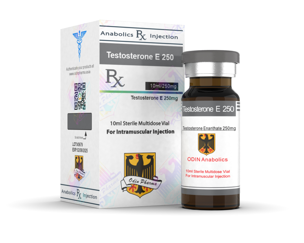 Testosterone Enanthate Odin Pharma 10ml Odin Pharmaceuticals