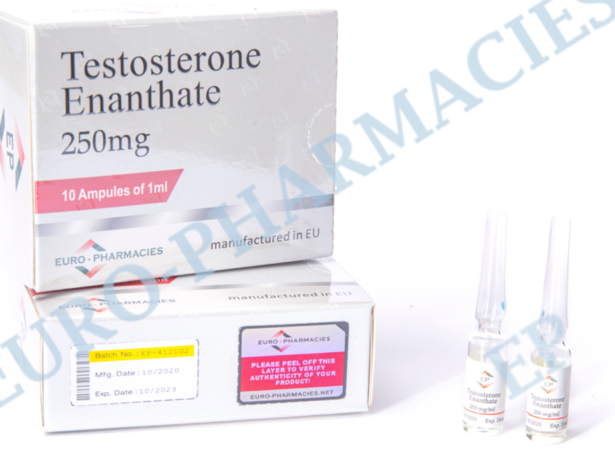 10 amp-Testosterone Enanthate – 250mg-ml 1ml-amp EU Euro-Pharmacies