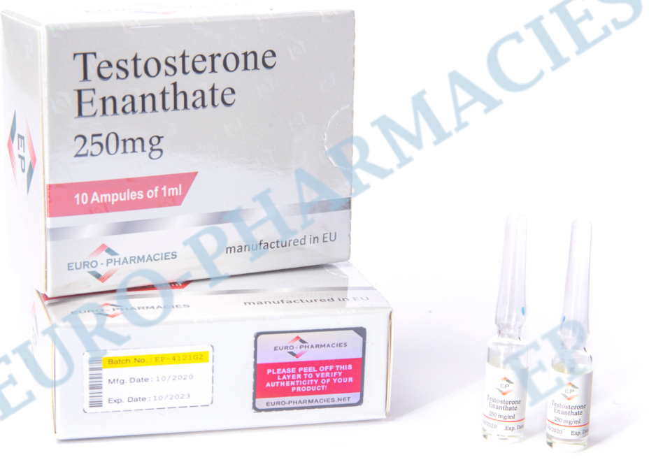 10 amp-Testosterone Enanthate – 250mg-ml 1ml-amp EU Euro-Pharmacies